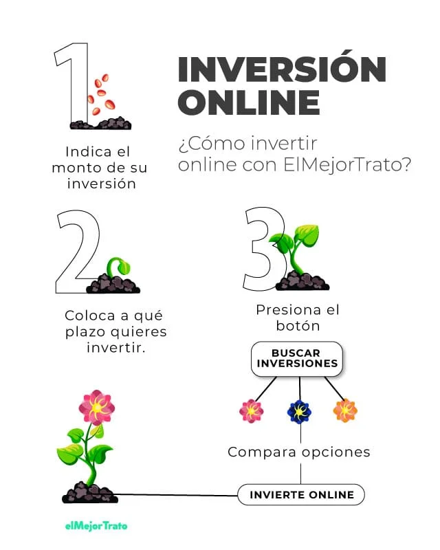 Todos los distintos tipos de inversiones que puedes hacer en México